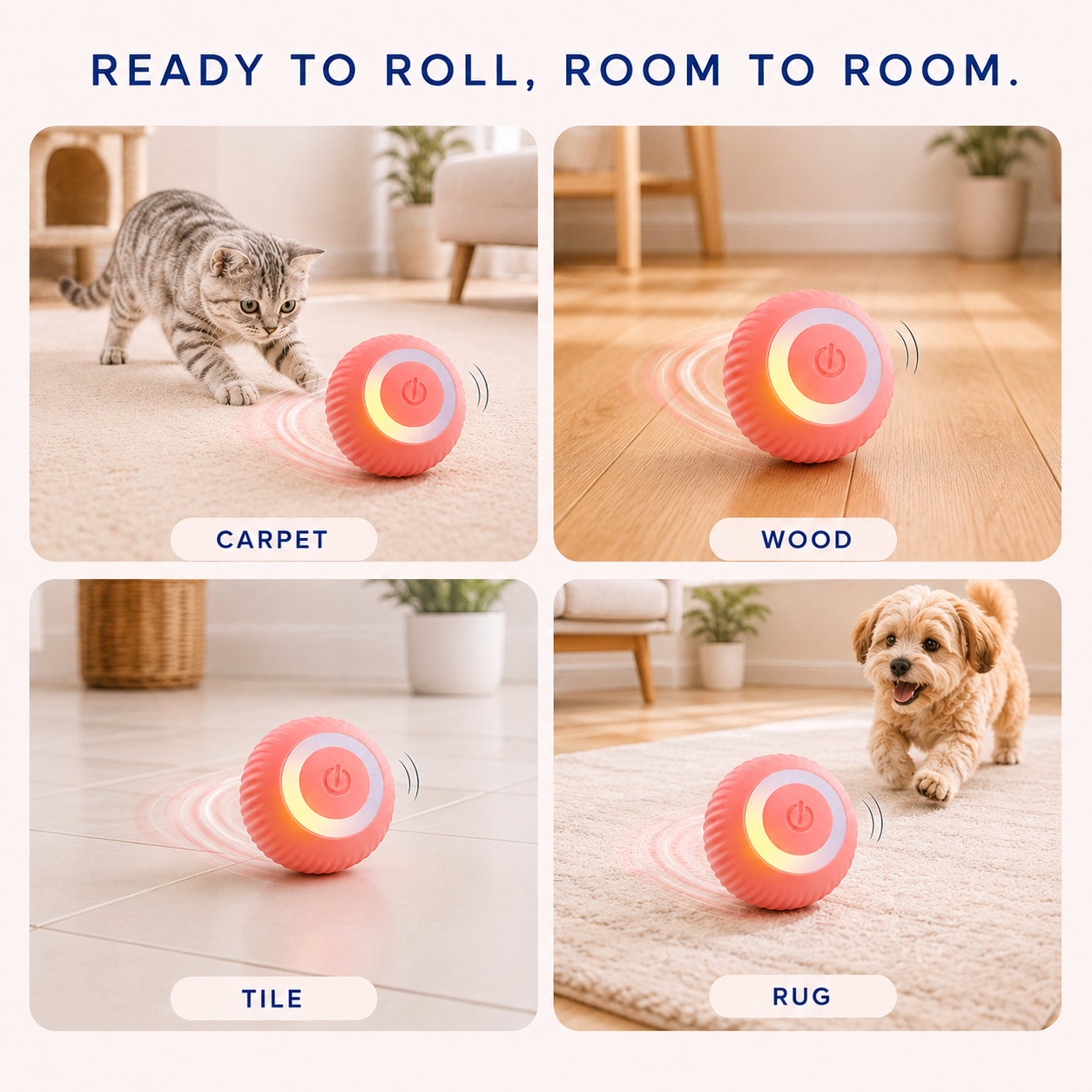 PawSpin shown on carpet, wood, tile and rug