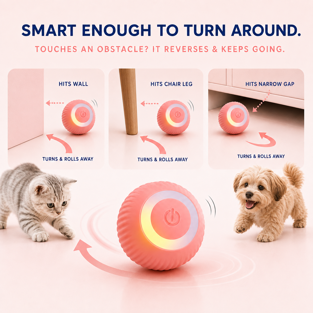 PawSpin turning away from a wall and furniture