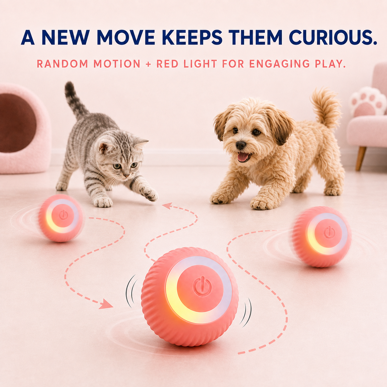 Cats and dogs following PawSpin's random motion